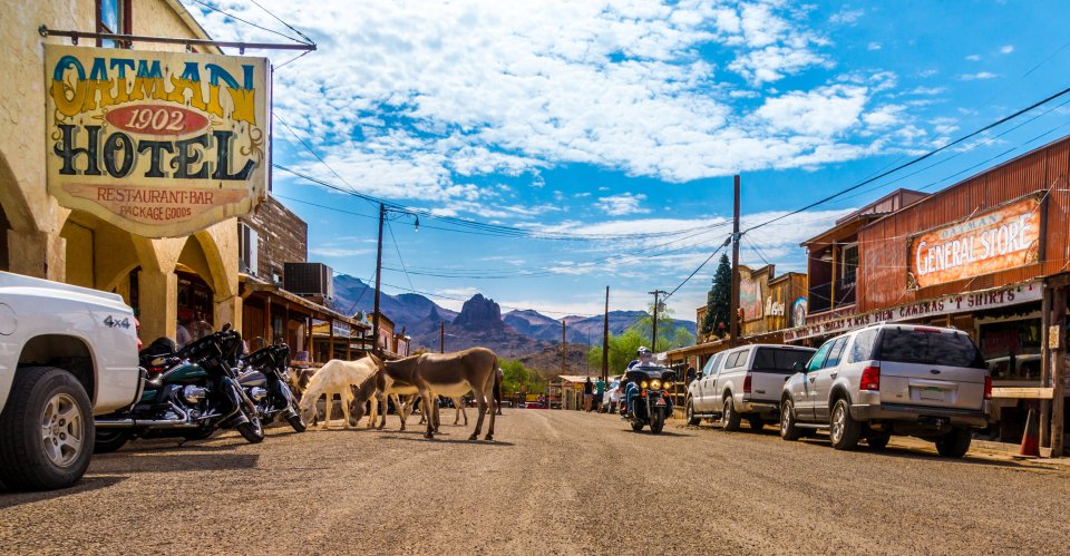 Ezelstad Oatman in Arizona: een stop langs Route 66. Foto: Getty Images