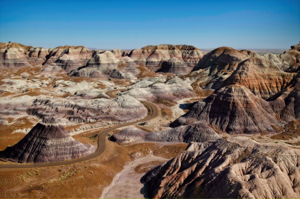 Rijd de Route 66 door Petrified Forest. Foto: Getty Images