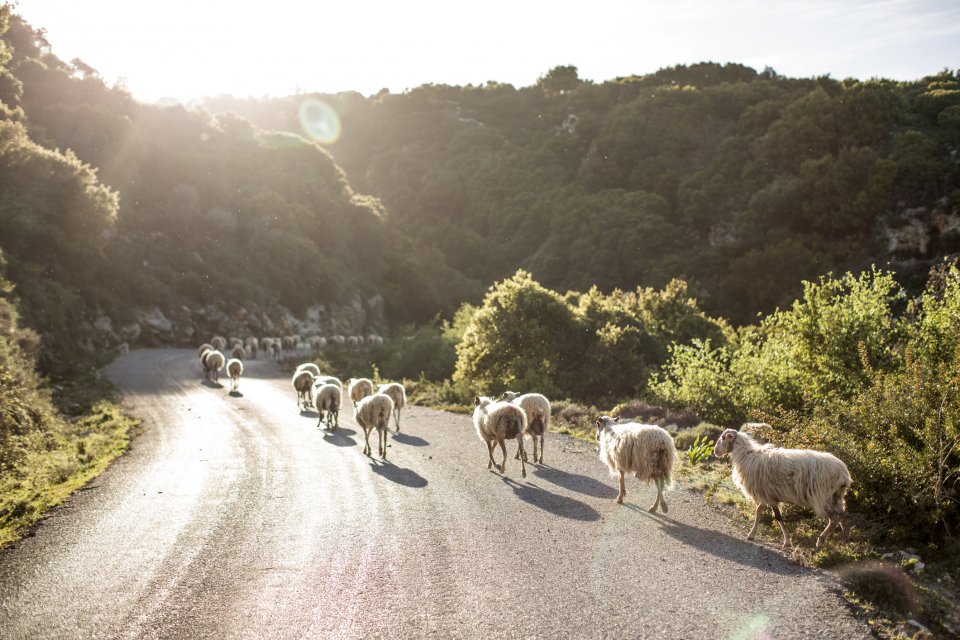 Griekenland: een van de onveiligste landen voor een roadtrip in Europa. Foto: Getty Images