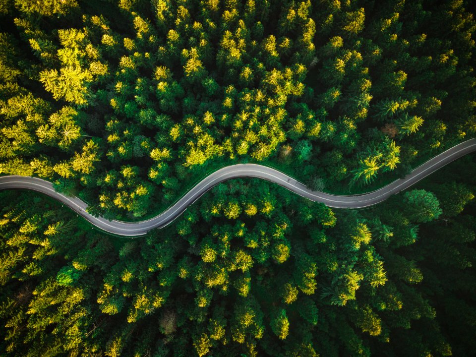 Polen: een van de onveiligste landen voor een roadtrip in Europa. Foto: Getty Images