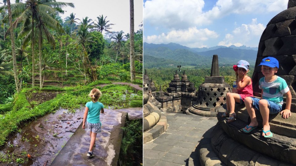 Op vakantie met je gezin naar Indonesië? Ontdek de rijstvelden, dolfijnen en tempels. Foto: KidsReizen