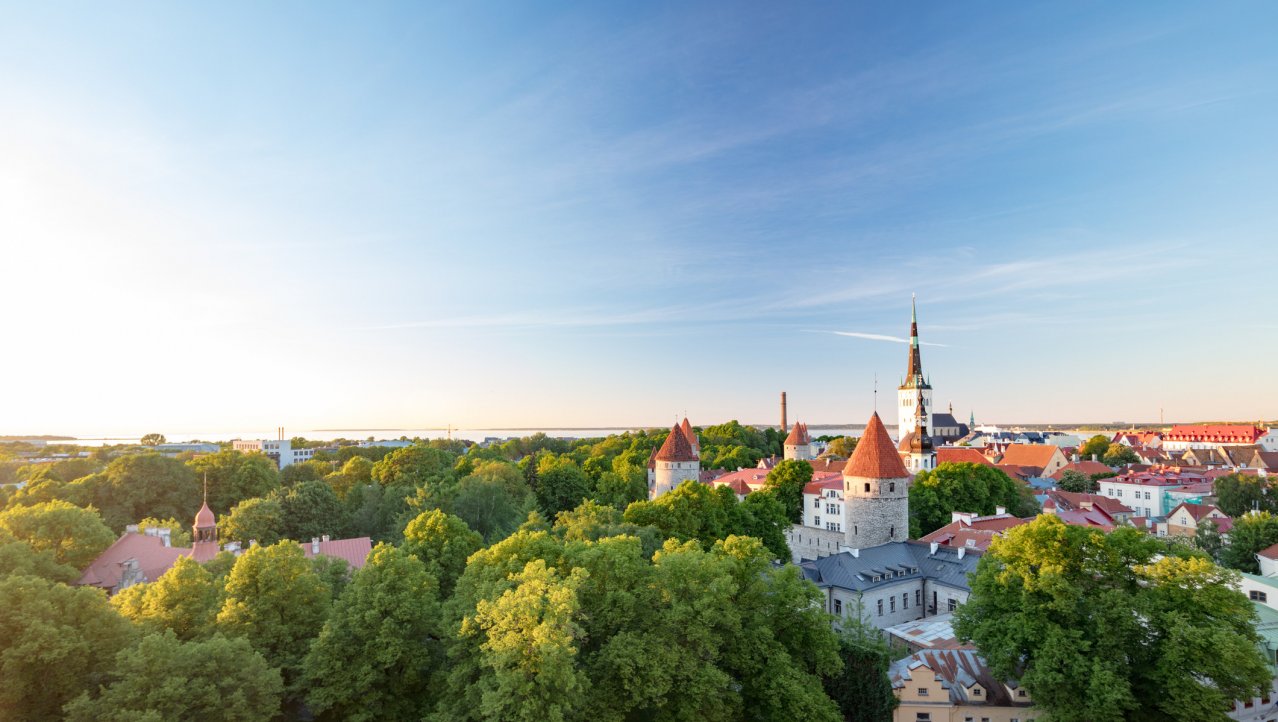 Tallinn hoofd Foto