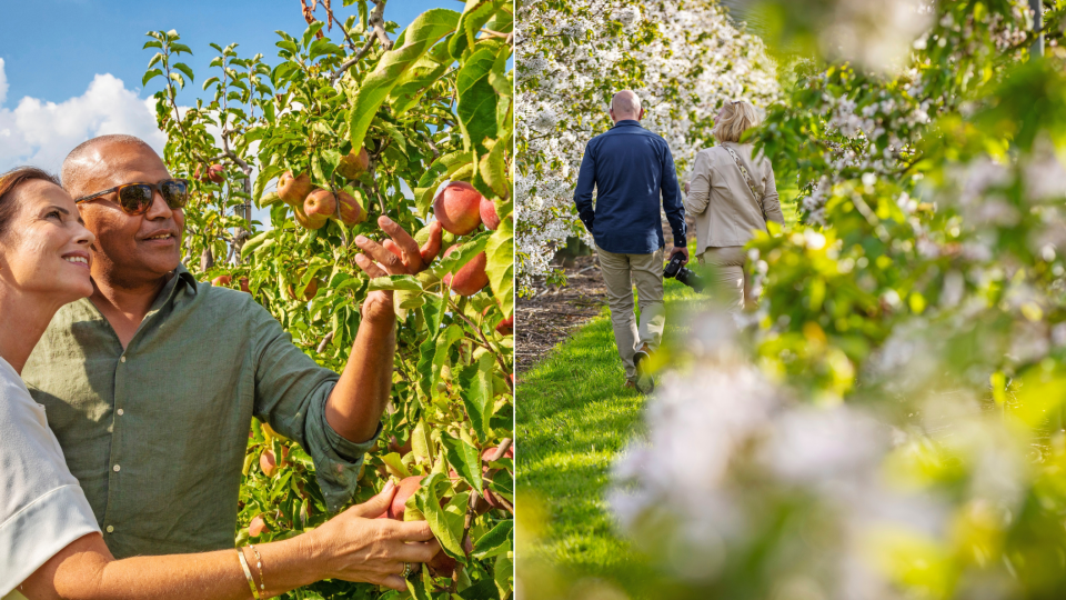 De fruitoogst in de Betuwe begint al in het voorjaar, wanneer de bloesem het hele gebied in bloei zet. Foto's: Seijbel Photography