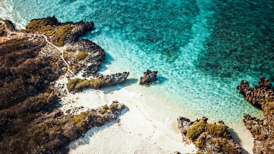 Verken de onderwaterwereld in Mozambique. Foto Stijn Hoekstra