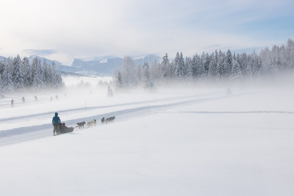 Scoor een volle bingokaart in Frankrijk. Foto: Getty Images