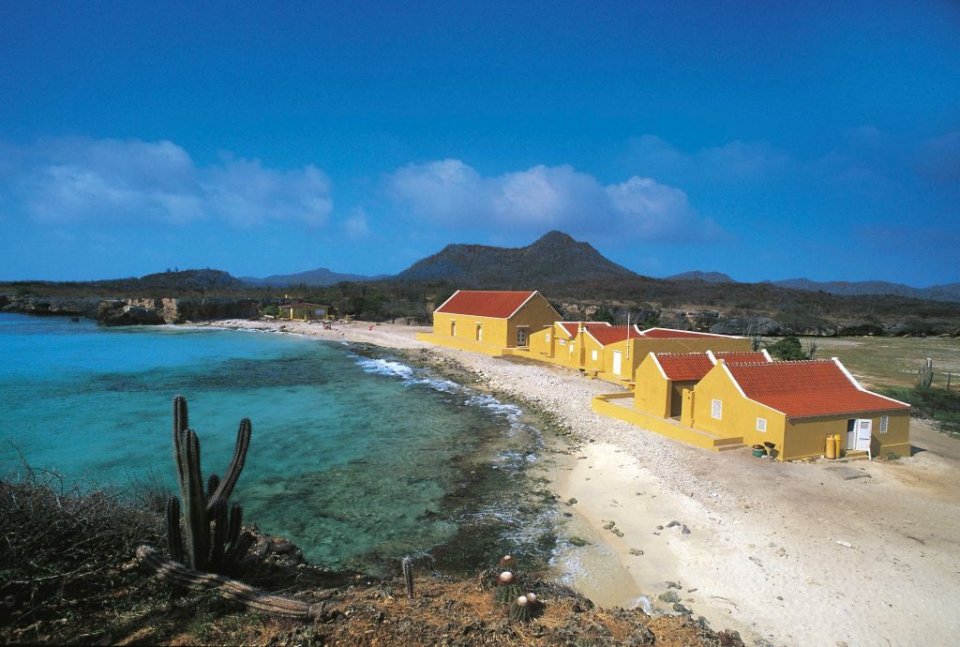 Ervaar Bonaire als een local: bezoek Washington Slagbaai NP. Foto: Getty Images