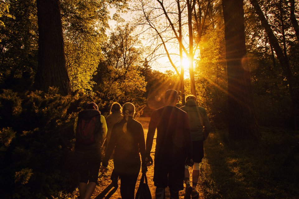 Geniet al wandelend van de herfst in de Kop van Noord-Holland.