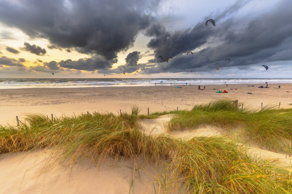 Waai uit op de stranden in de Kop van Noord-Holland.