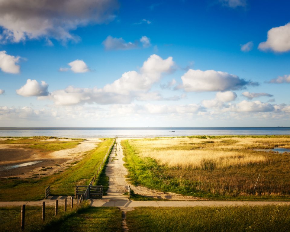 Verken de natuur in de Kop van Noord-Holland.