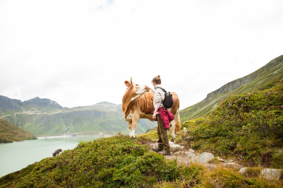 Vreedzaamste landen ter wereld in 2024: Oostenrijk. Foto: Getty Images