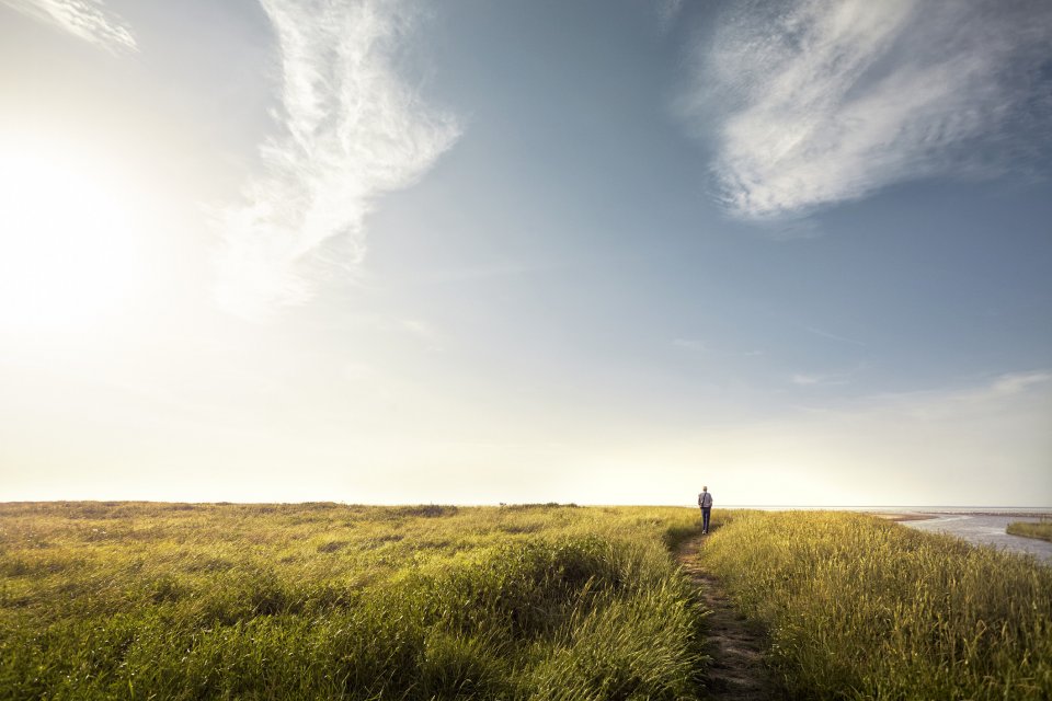 Vreedzaamste landen ter wereld in 2024: zo scoort Nederland. Foto: Getty Images