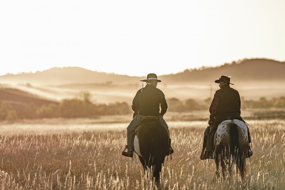 South Dakota Buffalo Roundup Custer State Park | Columbus Travel