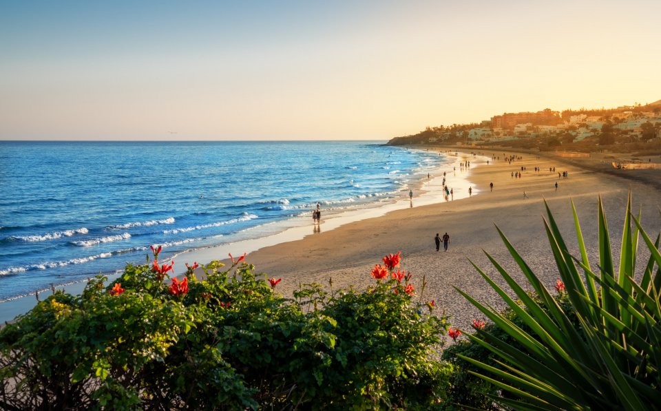 Fuerteventura. Foto: Getty Images