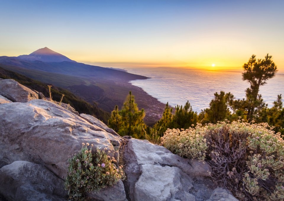 Natuurpark Anaga, Tenerife