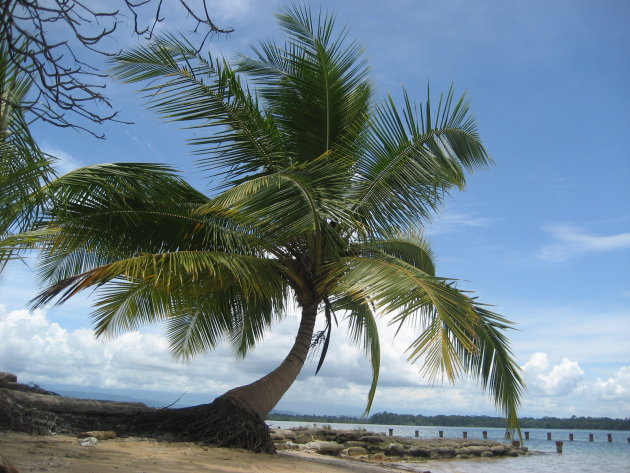 Bocas del Toro, Panama