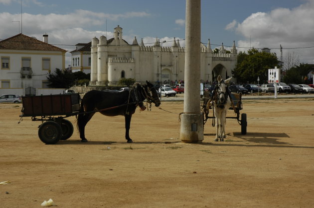 Evora