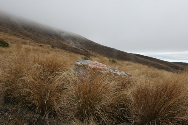 Tongariro NP