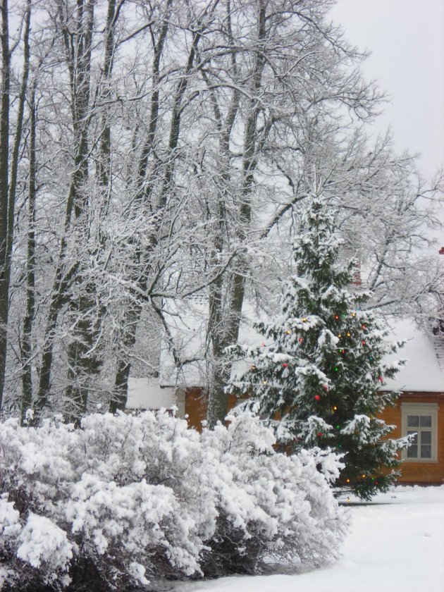 kerst plaatje??