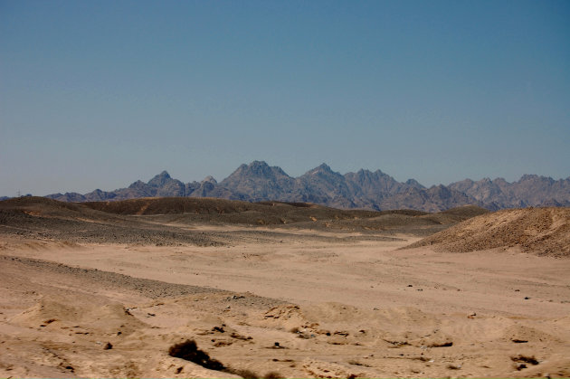 woestijn
