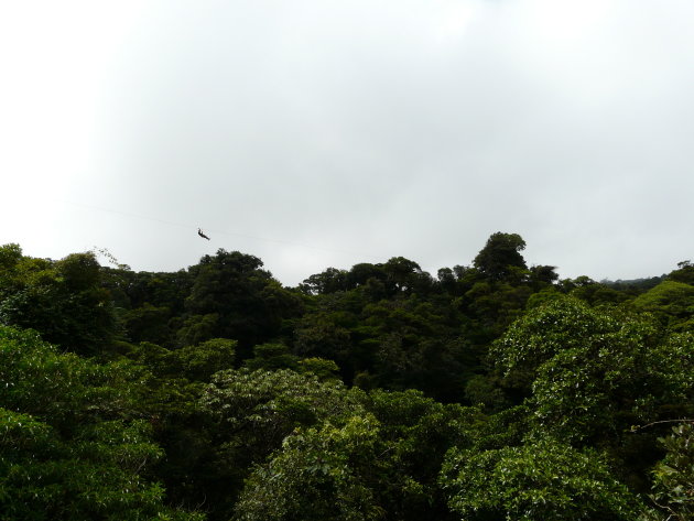 Canopy Tour, Monteverde
