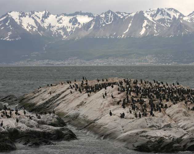 Zeezicht op Ushuaia