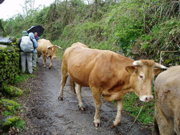 Traffic jam on the road to Santiago