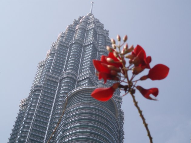 petronas towers