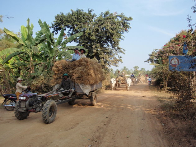 Tractor versus koeien