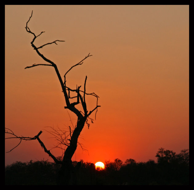 african sunset