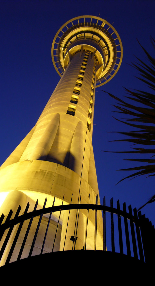 Sky Tower @ Night