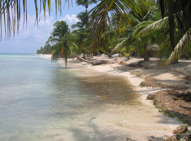 Isla Saona