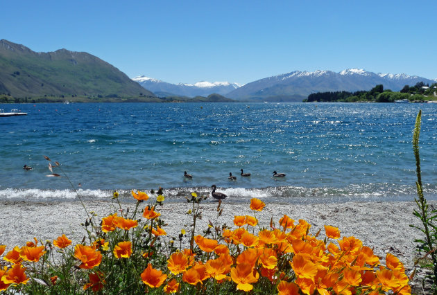 Lake Wanaka