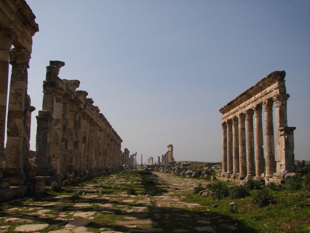 Apamea