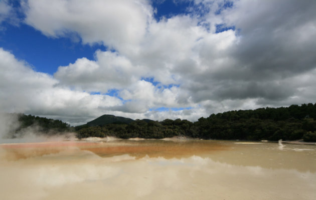 Champagne pool