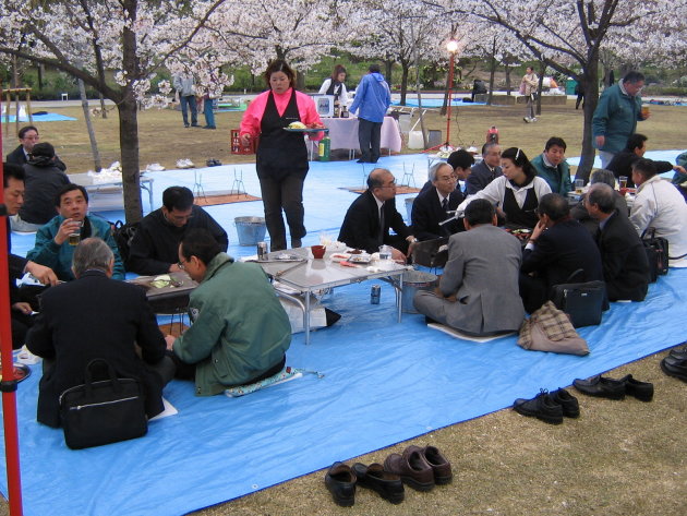 Japanse picknick