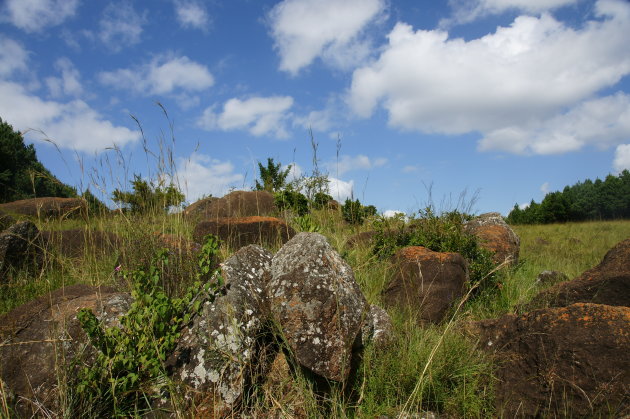 Natuurschoon