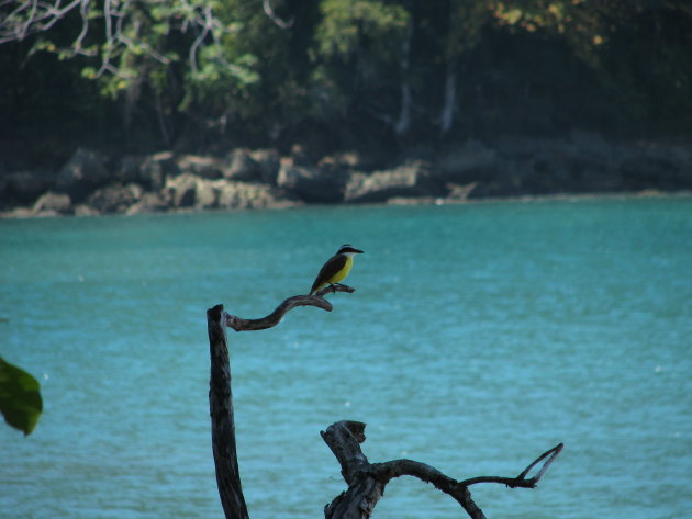 Manuel Antonio