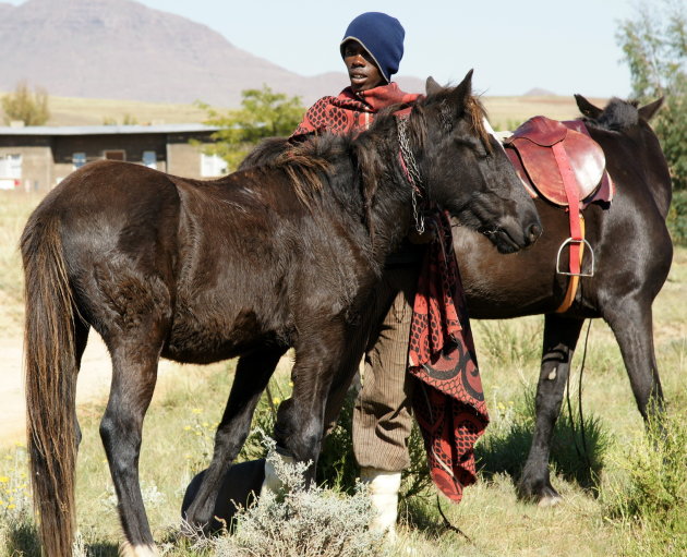 Paardenman