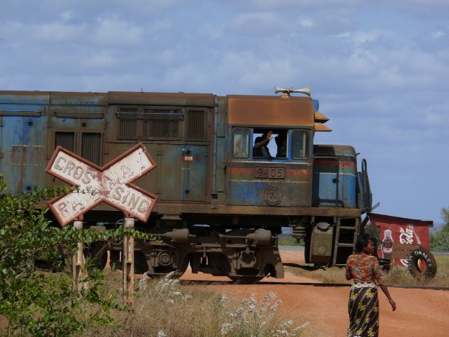 trein door Tsavo