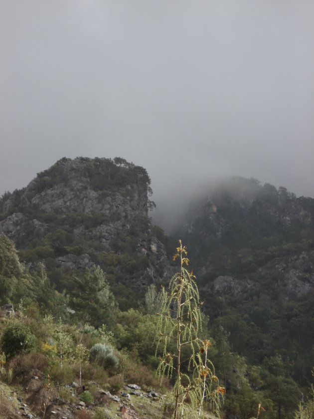 Mist in de bergen
