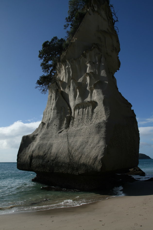 Cathedral cove bay