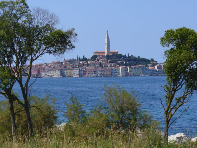 Vergezicht op de oude stad van Rovinj