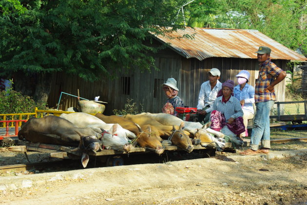 Bamboo train