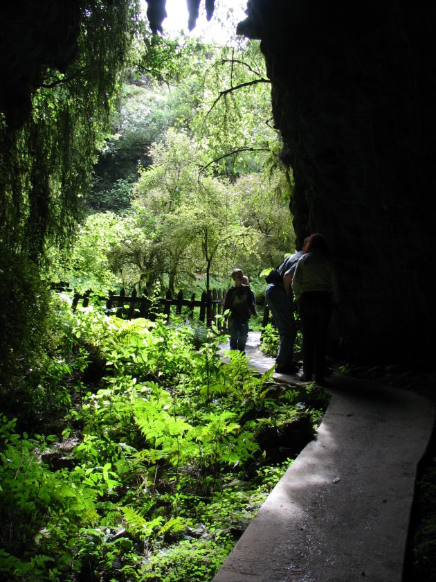 Waitomo Caves