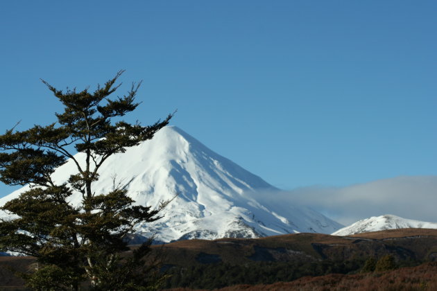 Mt Tongariro