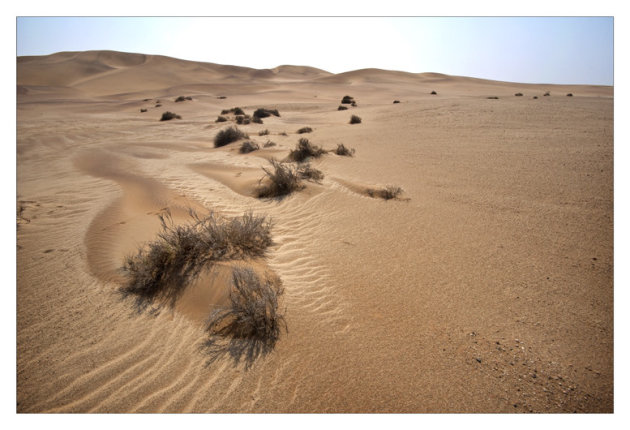 Namib desert