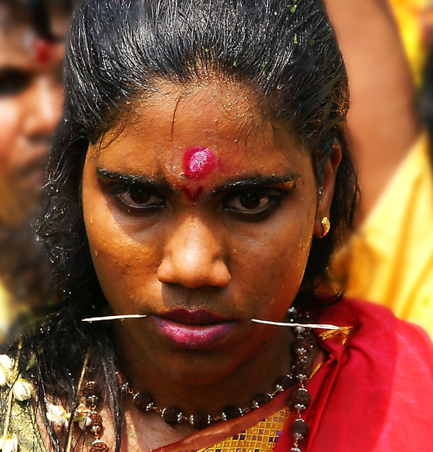 Thaipusam Festival