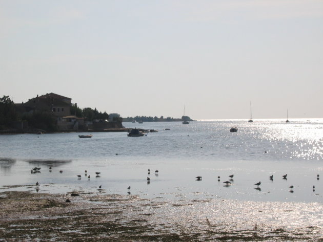 Umag onverwacht