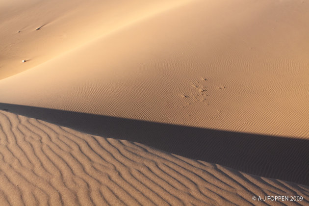 zandduinen