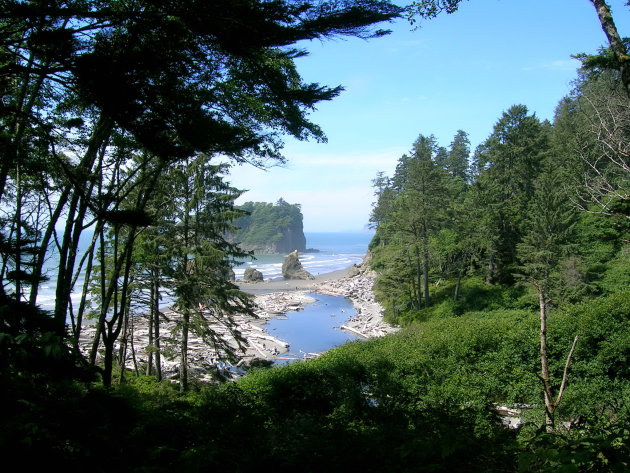 Olympic NP